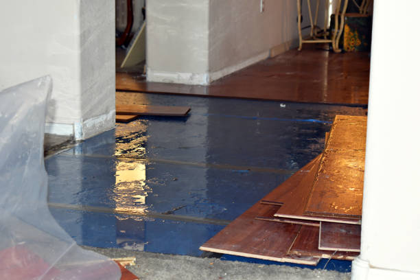 Professional Basement Flood Cleanup technician working in Bethlehem, NH